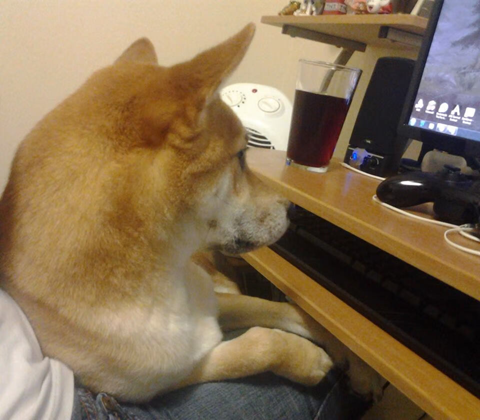 独木擎天,佩雷兹鏖战雷诺围城,以孤勇改写索伯命运