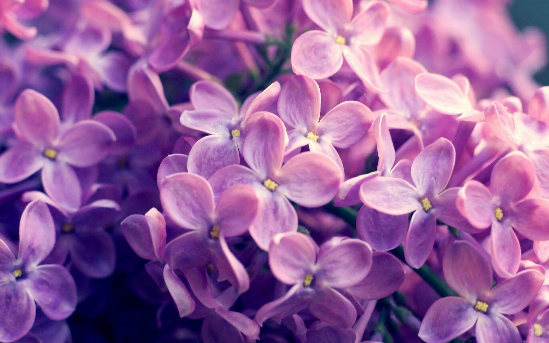 冰与火的对决，比利亚雷亚尔收割冰岛，法比尼奥化身中场齿轮关键先生