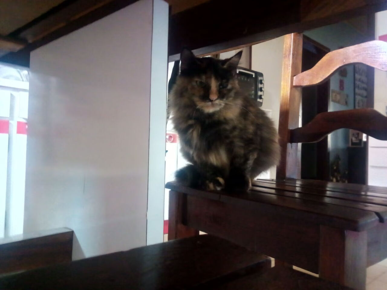 跨越海洋的统治力，尼克斯的悬念终结与武切维奇的欧冠接管