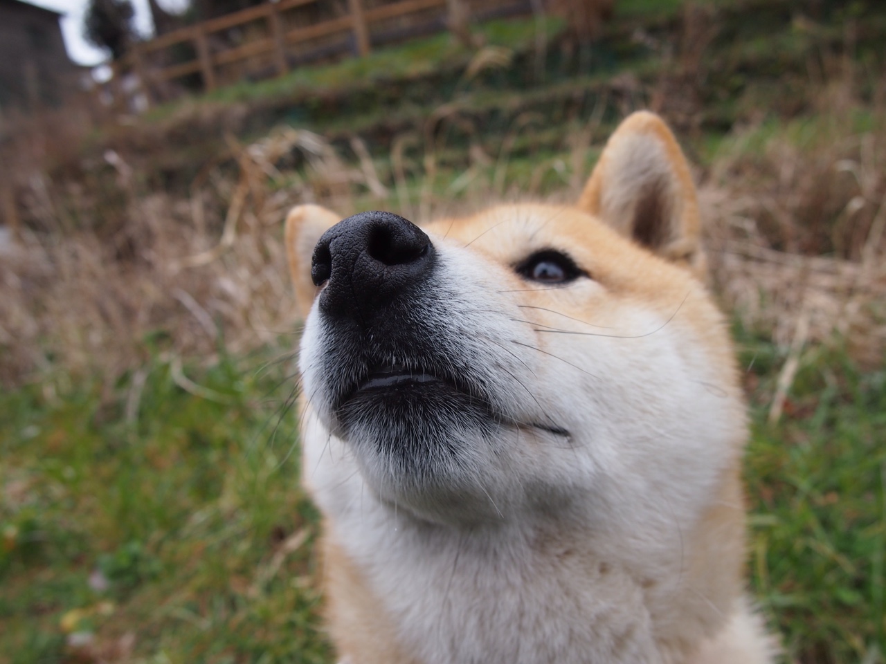 爱游戏在线-双线交响，湖人节奏艺术与布伦森关键先生之谜