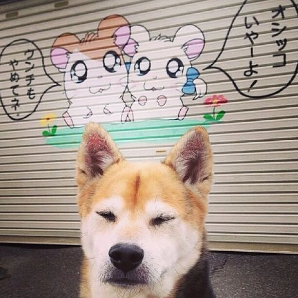 当翡翠绿碰撞黑白条，基米希在都柏林上演的史诗独舞