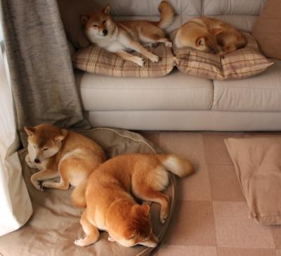 克莱绝境轰出赛季最强音!雄鹿加时鏖战扼杀黄蜂反击