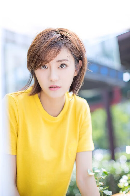 高原回响，当巴尔韦德的左脚划破低地天空—厄瓜多尔如何以海拔与灵魂制霸荷兰