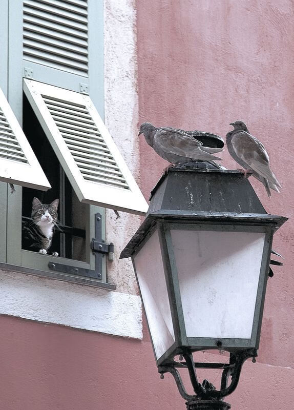 爱游戏在线-萨拉赫的压制级魔法，摩洛哥如何奇迹战胜拜仁