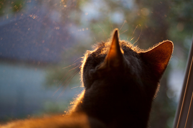 爱游戏入口-铁血之师粉碎宇宙队，克罗地亚联队如何改写欧冠历史