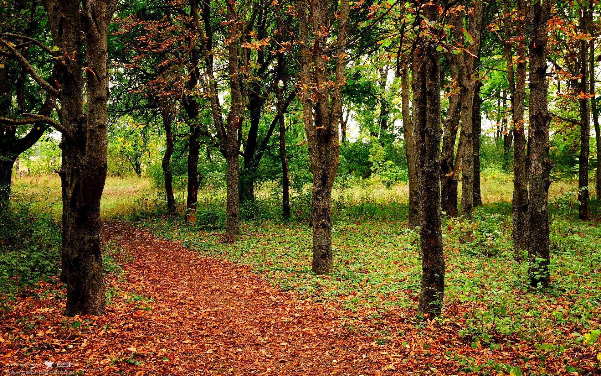 爱游戏大厅-转学生莫兰特，在喧嚣的篮球教室里，成为唯一不被定义的风