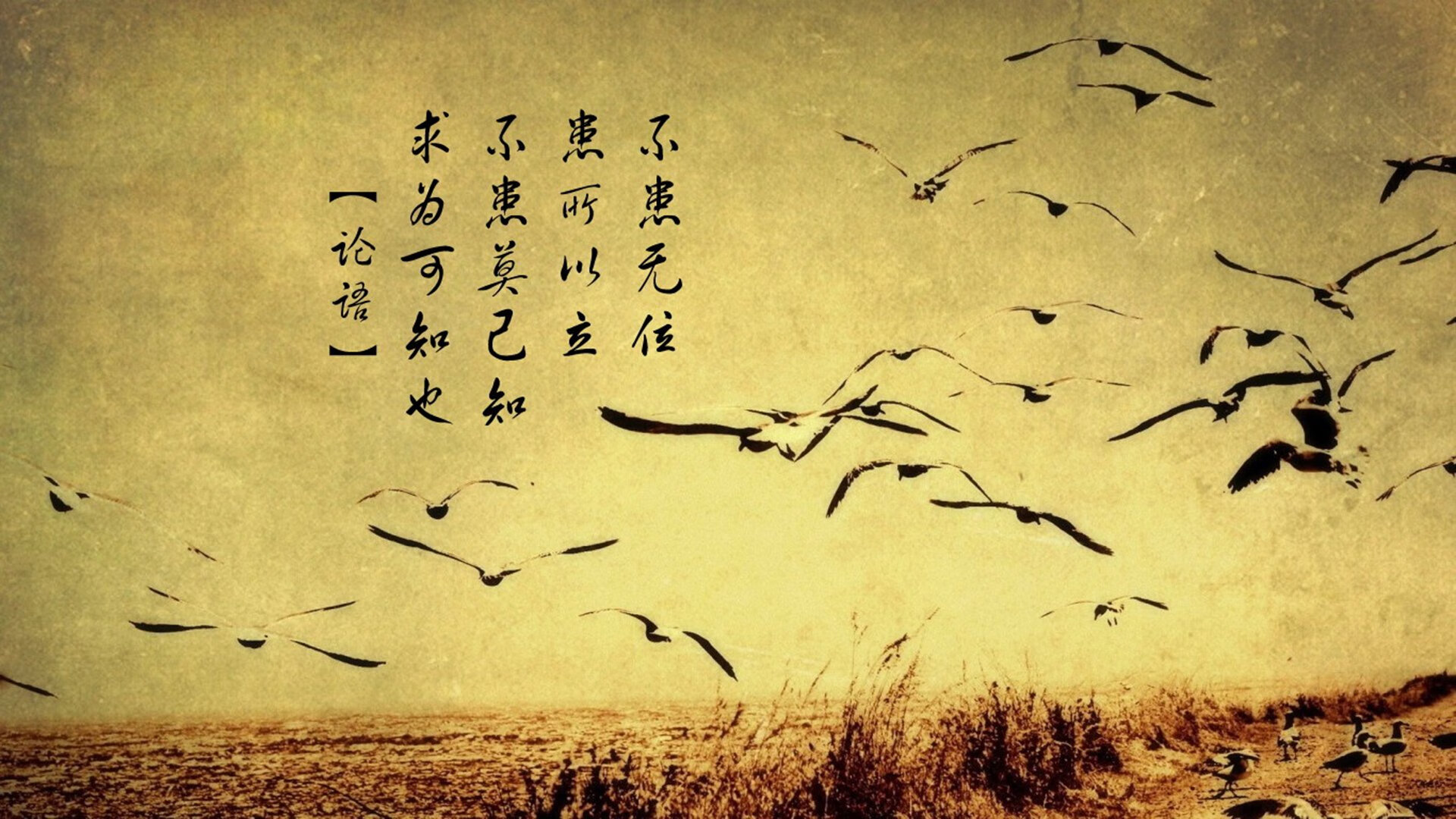 爱游戏APP-西决生死战焦点，乌拉圭劲旅惊天翻盘塞维利亚，传奇之夜永生难忘