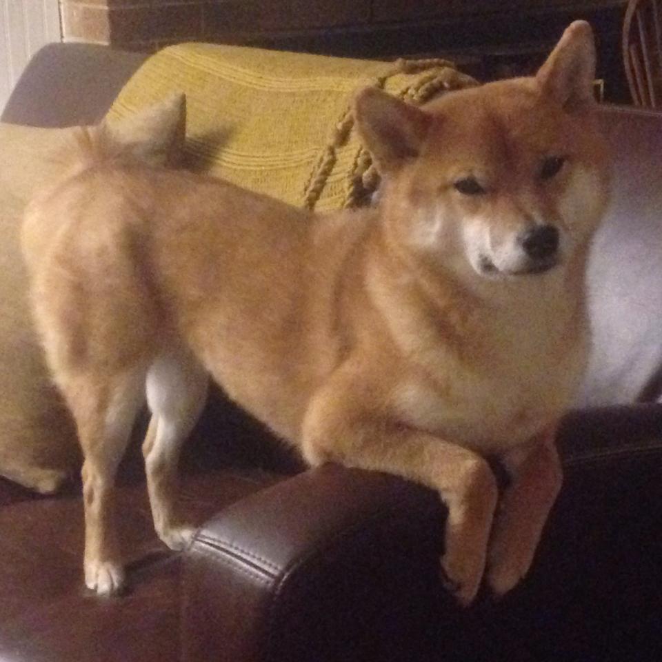 爱游戏官网-赛道与球场，当哈弗茨的节奏感跨越F1揭幕战的轰鸣