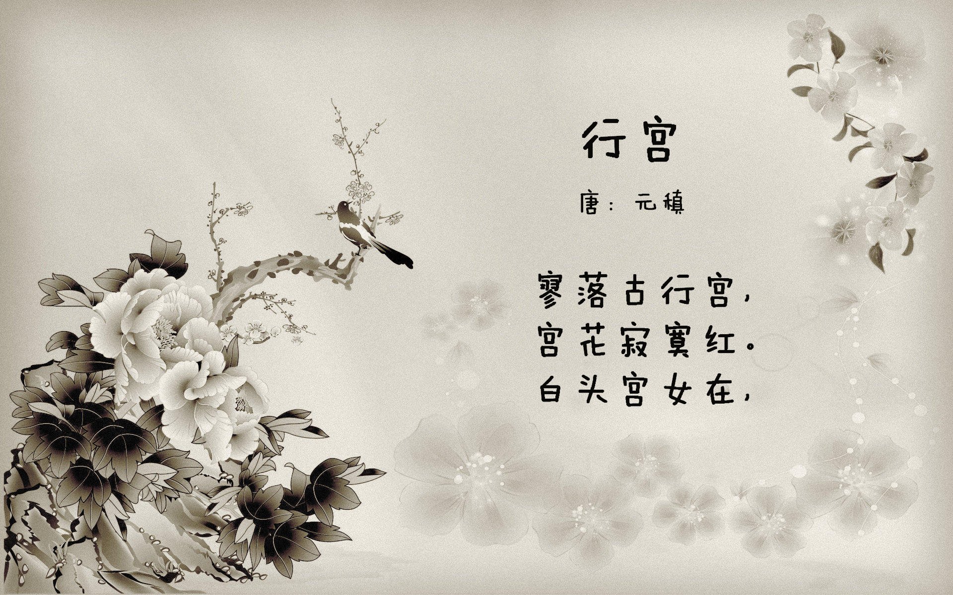 爱游戏娱乐-唯一之夜，2026世界杯G组，美国击碎印度神话，坎塞洛的世纪闪击