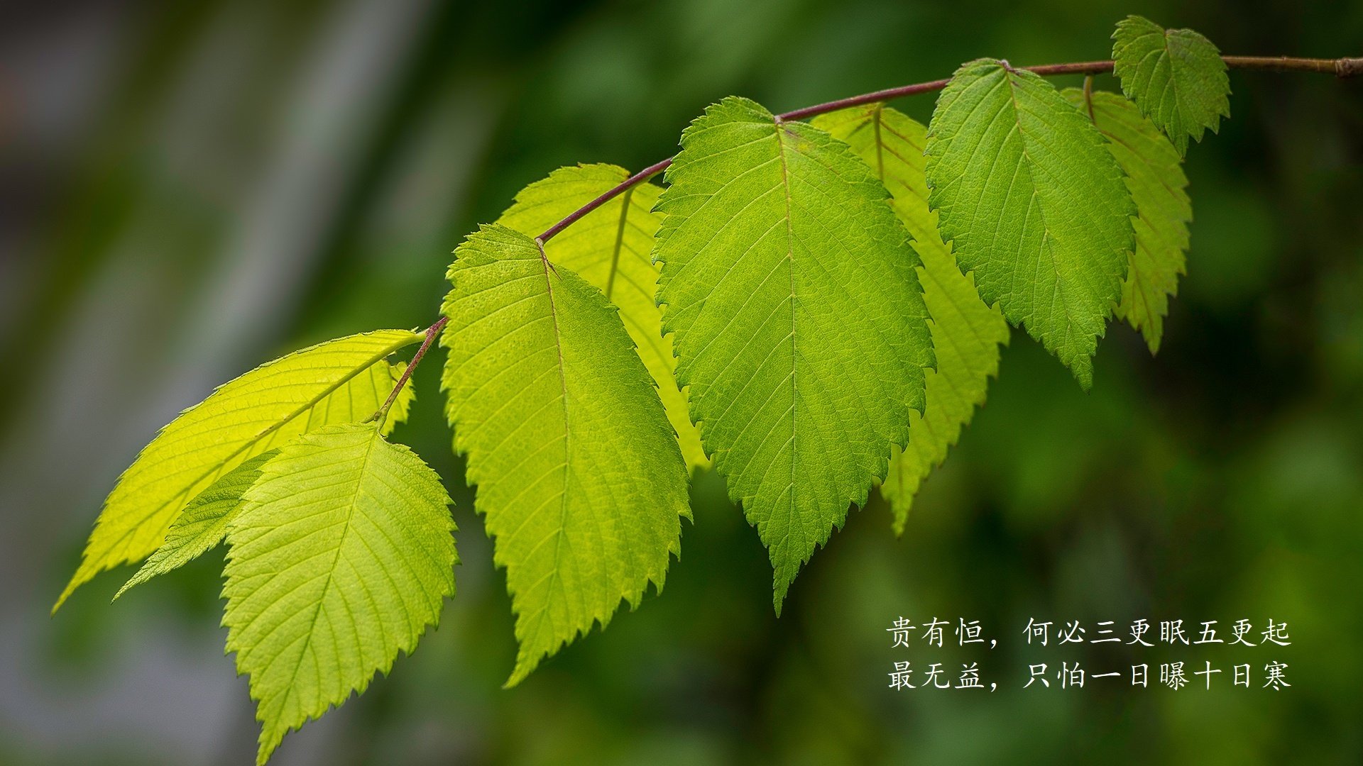 根据您提供的关键词，我为您构思并撰写了一篇具有唯一性与冲突张力的文章，标题及正文如下